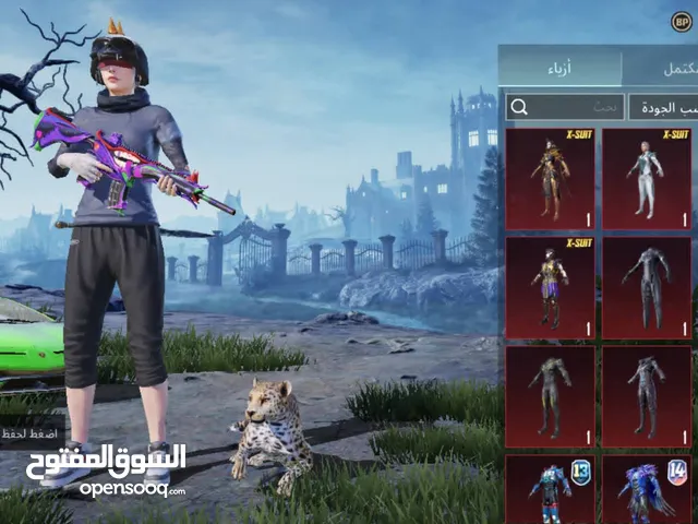 Pubg Accounts and Characters for Sale in Kirkuk