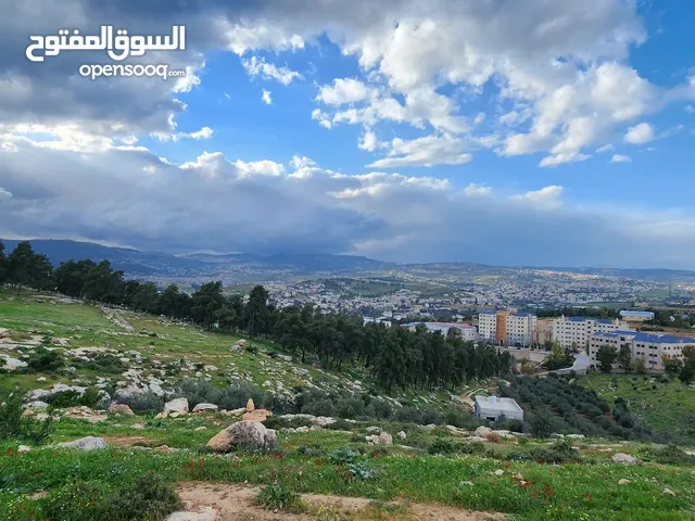 Mixed Use Land for Sale in Jerash Al-Rashaida