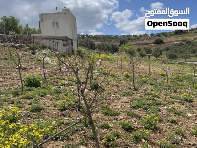 Mixed Use Land for Sale in Ajloun Sakhra