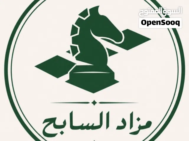مزاد السابح للخيول