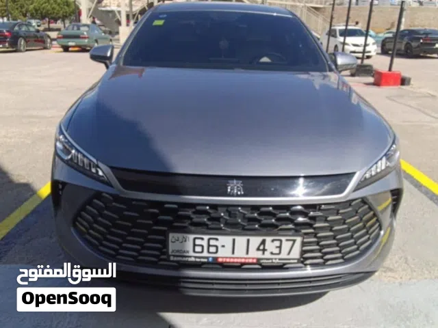 2025 بي واي دي كين