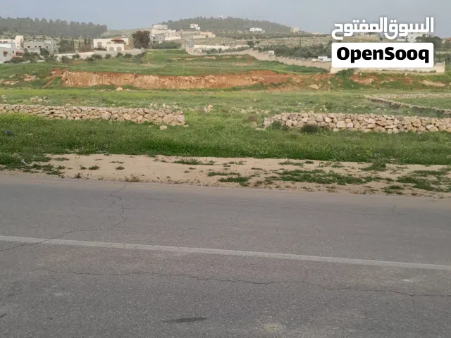 Industrial Land for Rent in Jerash Other