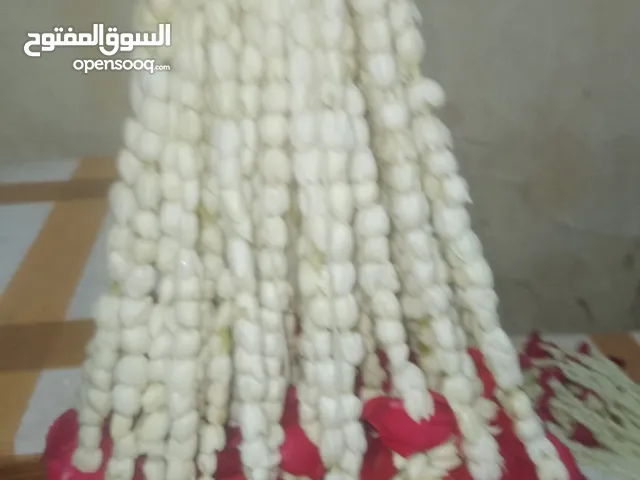 موجود فل من جيزان جميع الأشكال وأسعار جمله وورد طبيعي وموجود توصيل لجميع مناطق الرياض