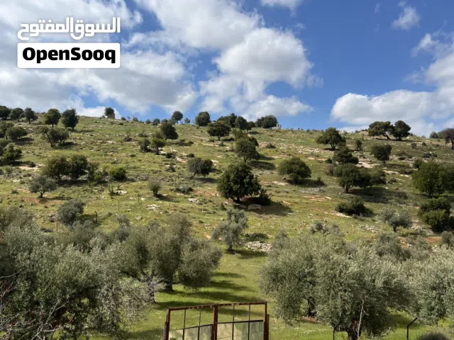 Farm Land for Sale in Jerash Kufor Khal