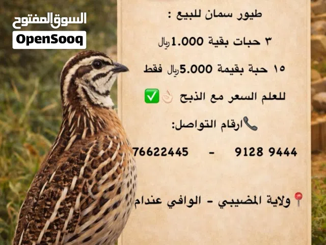 طيور السمان