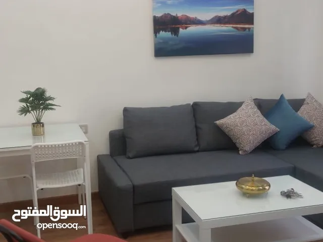 Furnished studio for rent in the Gardens area, near the new Sameh Mall