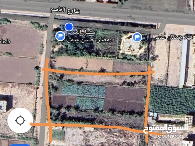 Farm Land for Sale in Alexandria Maamoura