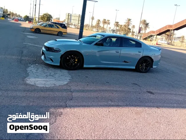 سلام عليكم  دوج جارجر جيتي  سموك للبيع