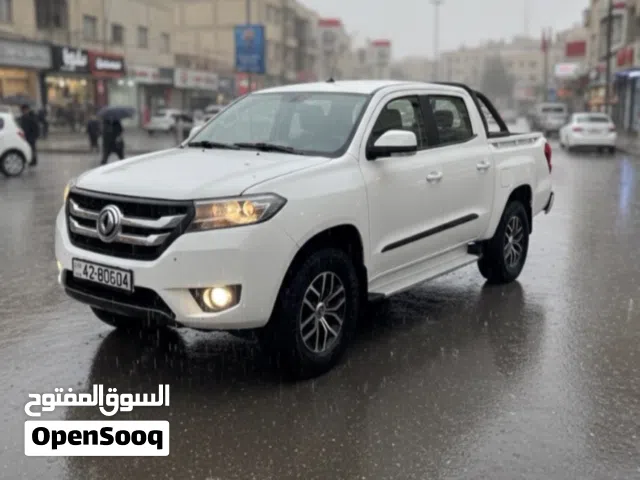 2023, دونج فينج, اخرى