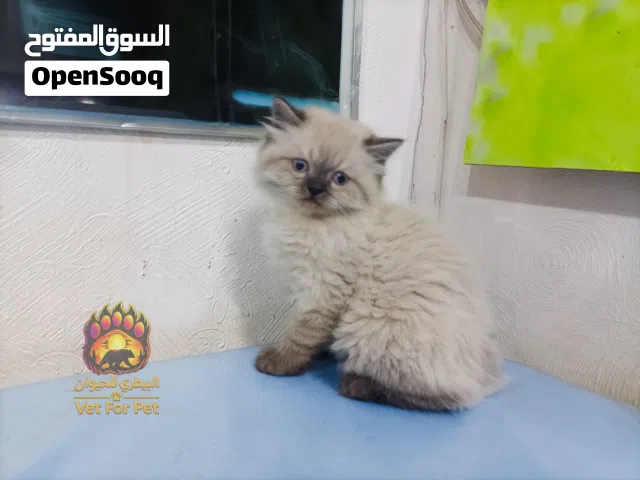 هملايا نقي 100%