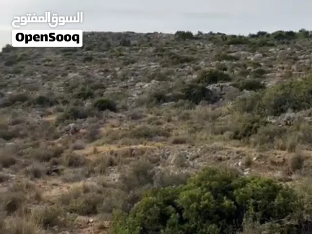 ارض في قرية قراوة بني زيد