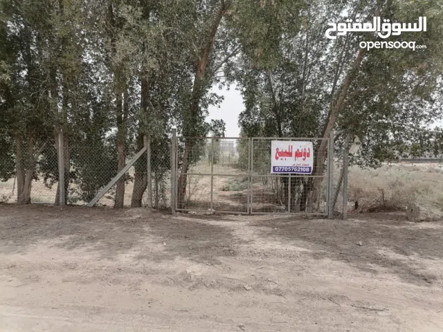 للبيع دونم زراعي في الكباسي مطل على نهر حسن