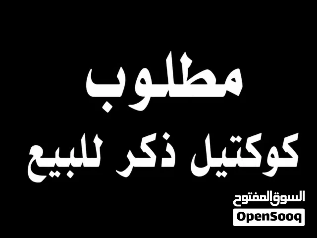 مطلوب ذكر كوكتيل للبيع اهم شي عمره جو سنه