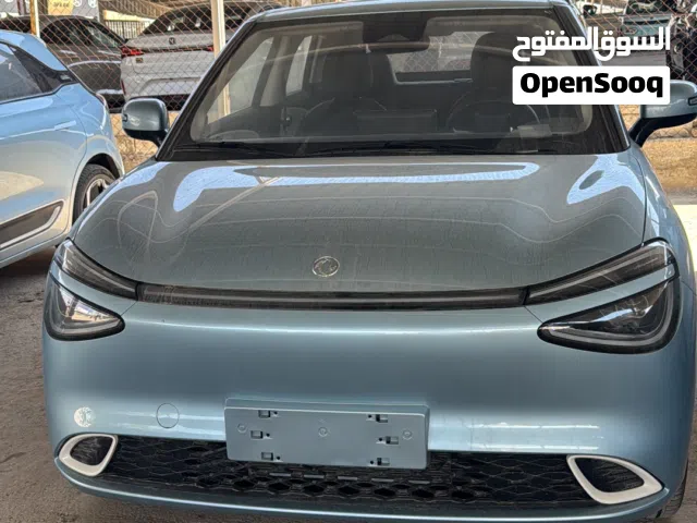 2025 دونج فينج نامي بوكس