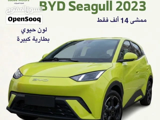 2023, بي واي دي, سيجول