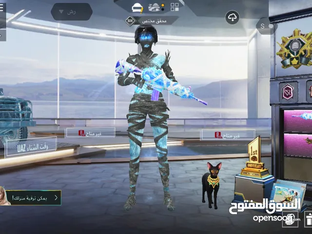 حساب ببجي للبيع اسلوب خرافي
