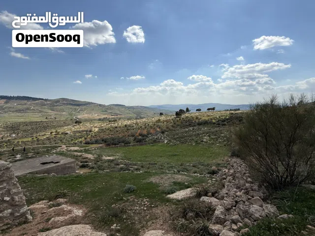 أرض للبيع في جرش النبي هود خلف جامعة جرش