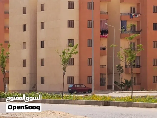 فرصة العمر لا تتكرر.. شقة لقطة ببرج العرب (إسكان الجيش)