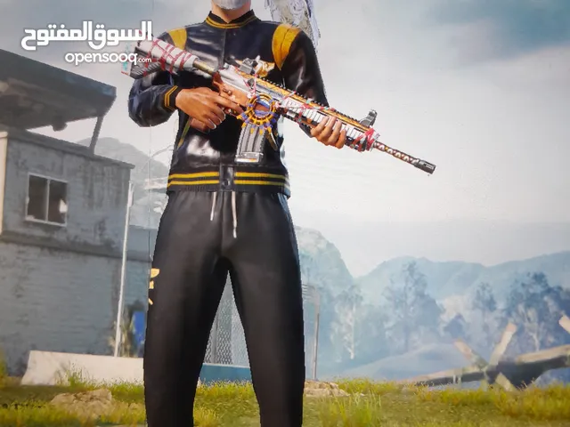 Pubg Accounts and Characters for Sale in Zarqa