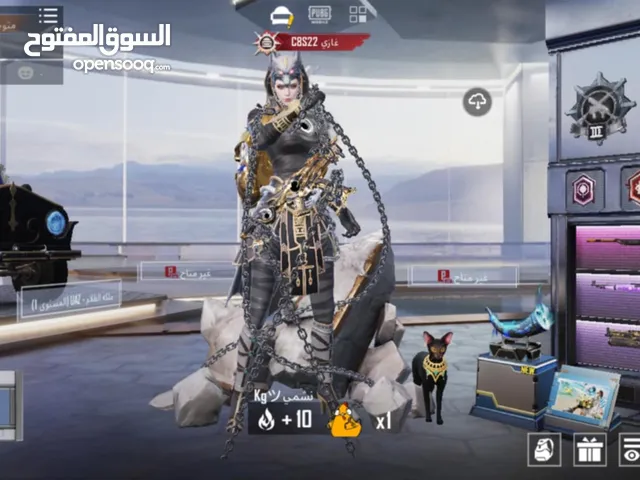 Pubg Accounts and Characters for Sale in Amman