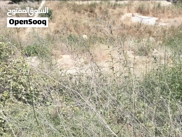 Land for Sale in Aabey – 730 m2 Scenic Mountain Views Road Access