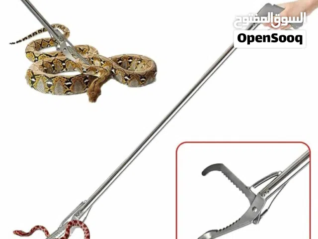 عصاة السيطره على الزواحف