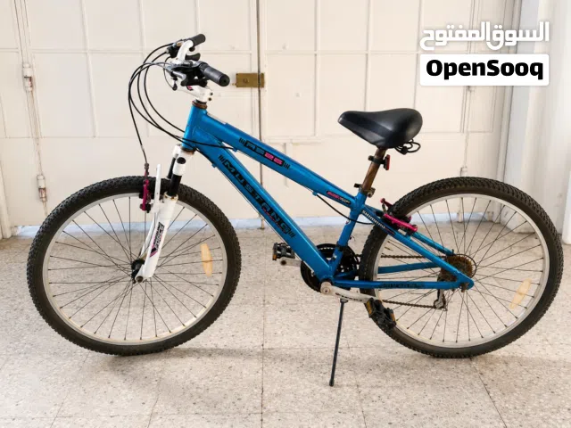 RS26 Mustang Mountain Bike Used