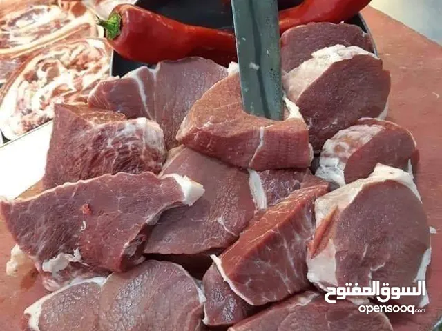 موجود 6نعجات سن جمع ساغ سلم