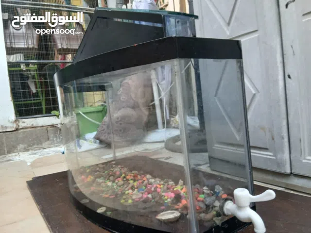 لقطه .! سمك مع حوض سمك فاخر مناسب للأستعماله داخل البيت
