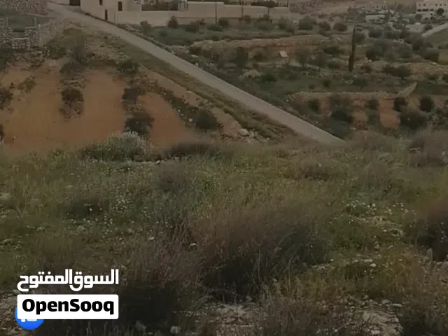 Farm Land for Sale in Zarqa Birayn