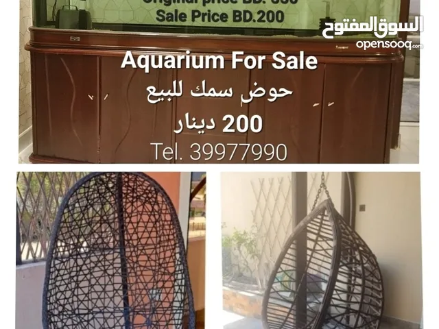 صندوق سمك زينه مع كرسي استرخاء