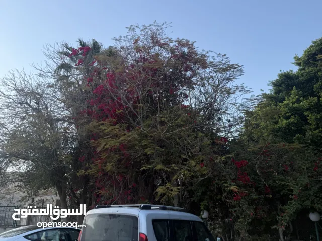 Used Fiat Doblo in Bethlehem