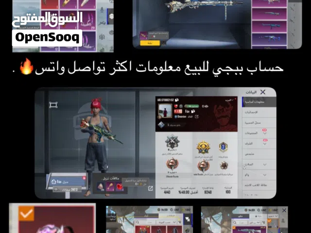 Pubg Accounts and Characters for Sale in Al Batinah