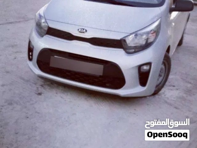 2019 كيا بيكانتو EX