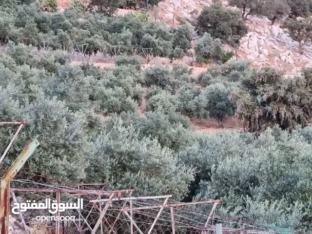 ارض مطله للبيع