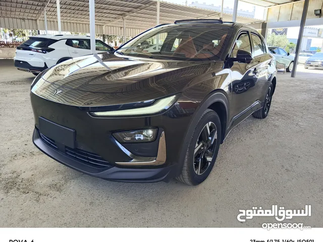 Used Neta U in Zarqa