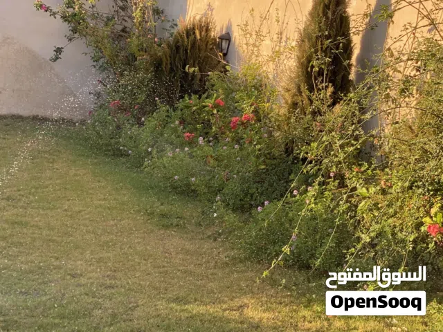 استراحه للبيع رئيسي الباعيش ممتازه