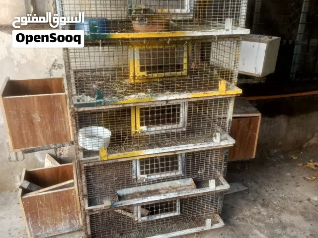 اقفاص للاراب للفر حمام