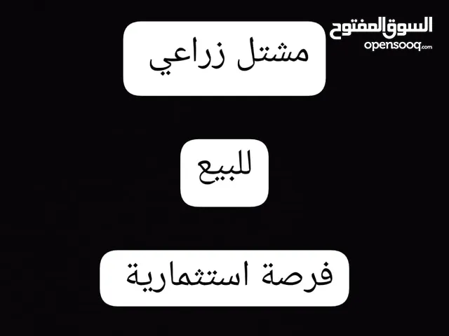 فرصة استثمارية مشتل زراعي قائم بالمعبيلة الشمالية للبيع بسعر ممتاز بموقع ممتاز وحيوي جاهز للاستخدام