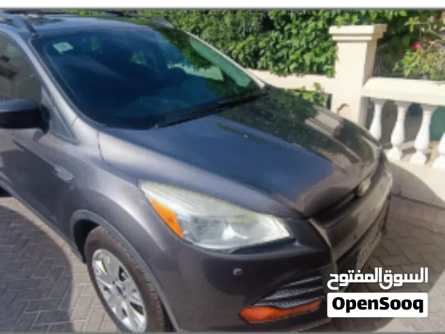 2013 Ford Escape Standard