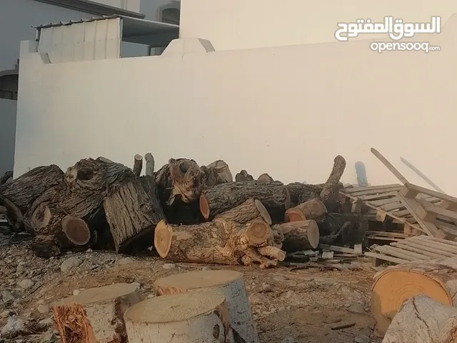 بيع الحطب سدر وا شريش وا رول وا الغاف