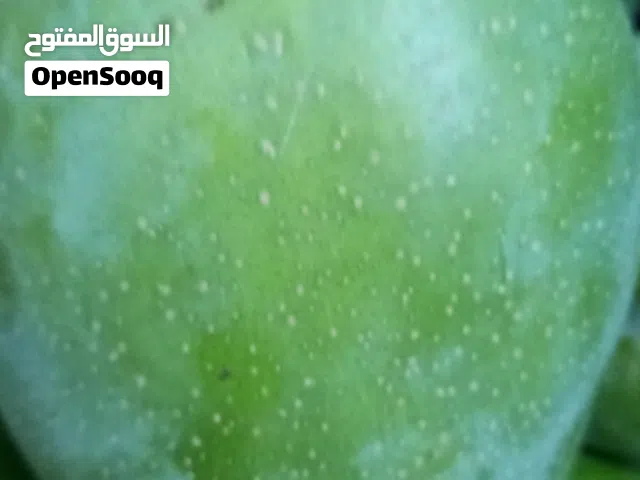 Green omani  mango. 0.600 kg