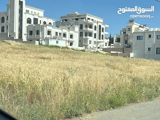 Residential Land for Sale in Amman Al-Thuheir