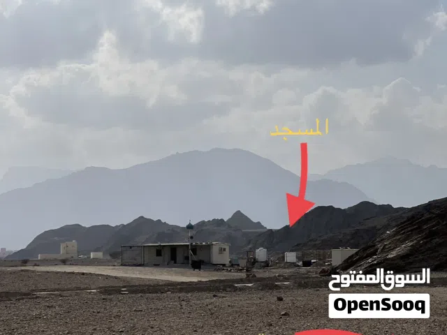 Residential Land for Sale in Muscat Amerat