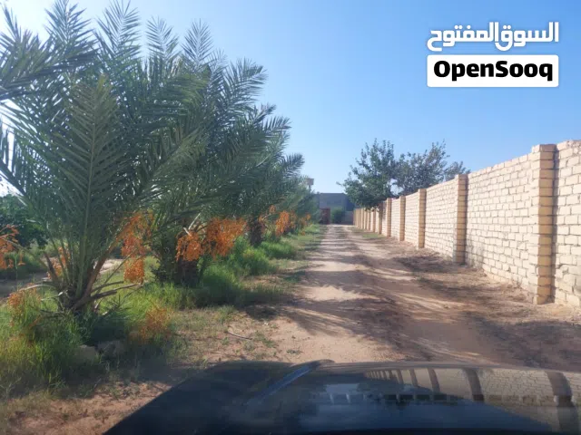 2 Bedrooms Farms for Sale in Tripoli Espiaa