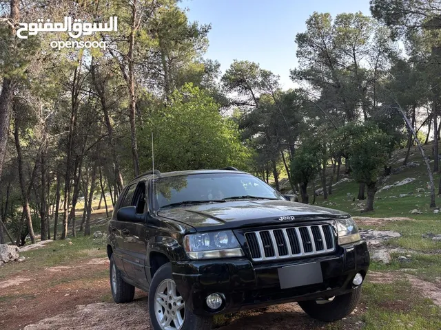 جيب شروكي 2004