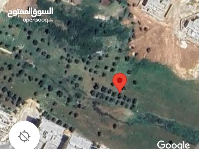 Residential Land for Sale in Amman Naour