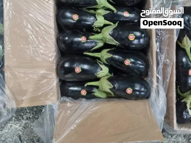 باذنجان عضوي من مزارع إيرانية