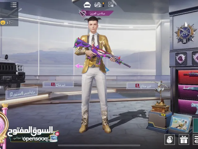 Pubg Accounts and Characters for Sale in Ramallah and Al-Bireh