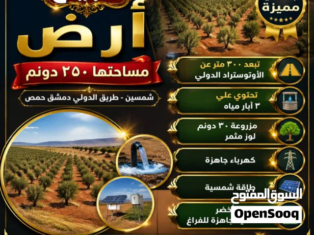 Farm Land for Sale in Homs Other